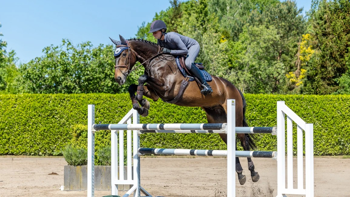LeMieux Loire Close Contact Saddle Pad - TWILIGHT GREY - Image 2