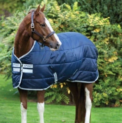 Amigo Insulator, Medium (200g)