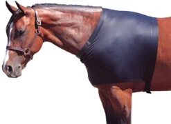 Ger-Ryan Shoulder Guard