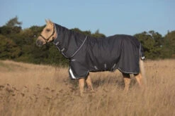 Horseware Ireland Amigo Bravo 12 Plus Lite Turnout (0g)