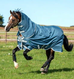 Horseware Ireland Amigo AmEco Bravo 12 Plus Turnout - 0g