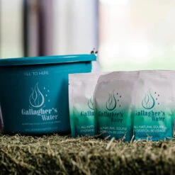 Gallagher's Water Hydration Beverage - 12 Pack