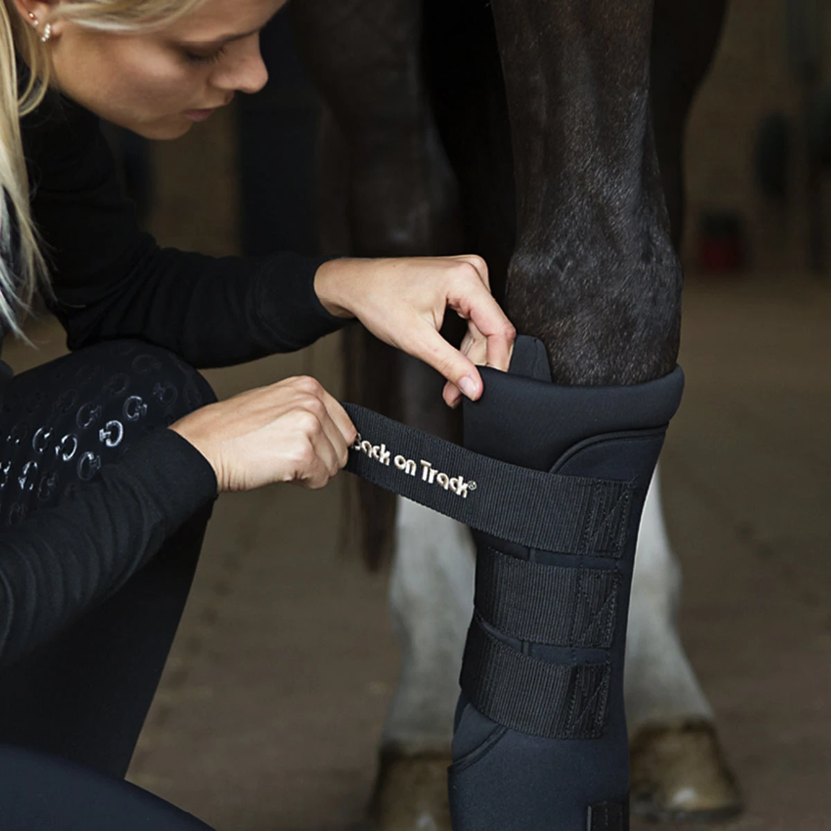 Back On Track Royal Quick Wraps - 2 Colours - Image 2