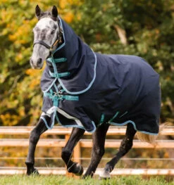 Amigo Bravo 12 Plus, Medium (250g) - VARIOUS COLOURS