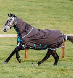 Horseware Ireland Amigo Bravo 12 Plus Lite Turnout (0g) - DISC FRONT