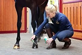 Absorbine Hooflex Natural Dressing & Conditioner - 450ml - Image 4